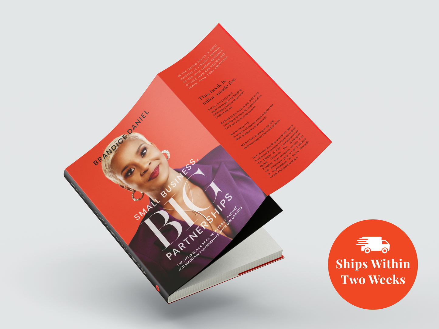 Small Business, Big Partnerships (Book)