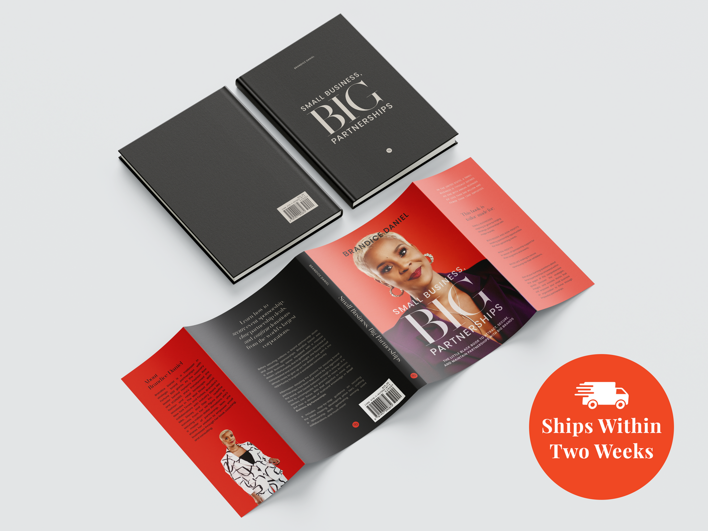 Small Business, Big Partnerships (Book)